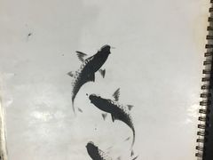 -豪华脆肉鲩