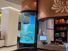 -谭厨中山传家菜.乳鸽.脆鲩鱼(华强北中航城店)