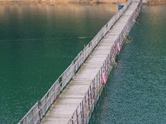 -广州市流溪河国家森林公园