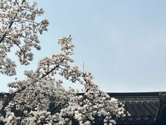 -拙政园