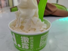 -Salud撒露欧洲冻酸奶(五道口购物中心店)