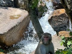 -姑婆山旅游区