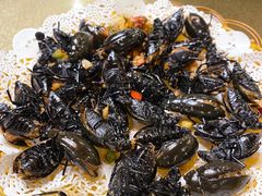 -崖口红树林海鲜餐厅