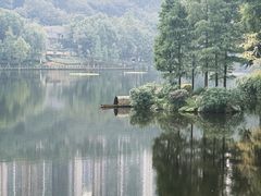 -重庆彩云湖湿地公园