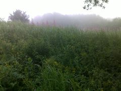 景点-白草畔自然风景区