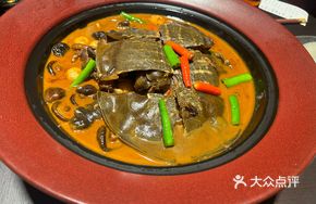 Jianzhou Golden Stewed Softshell Turtle