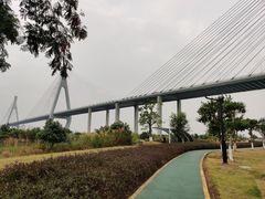 -芒洲湿地公园