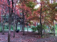 -长春市南湖公园