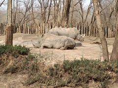 -北京野生动物园