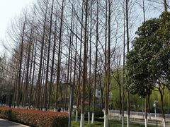 -后襄河公园