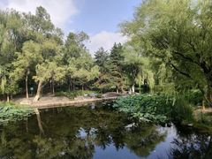 -满都海公园