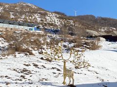-多乐美地滑雪场