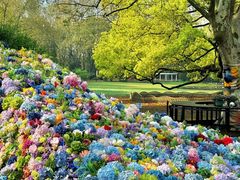 -上海共青森林公园