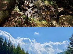 -芦芽山旅游度假区