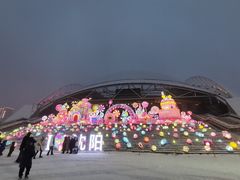 -沈阳奥体冰雪嘉年华
