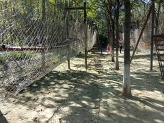 -草根堂农场