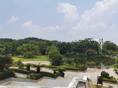 -大屏嶂森林公园