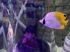 -沈阳海洋探索中心