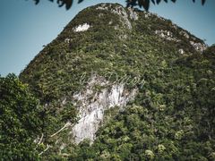 -海南霸王岭国家森林公园