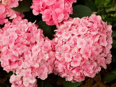 -共青国家森林公园-售票处