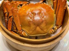 -南苑环球酒店云顶高级中餐厅(鄞县大道店)