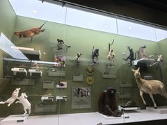 -国家自然博物馆