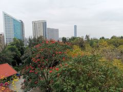 -狐尾山公园