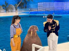 -泉城欧乐堡海洋极地世界