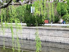 -海棠花溪(元大都城垣遗址公园)