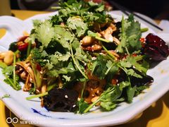 -素虎小呆鸟(西二旗店)