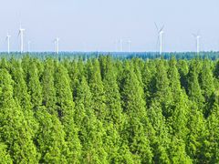 -黄海国家森林公园