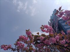 -武汉欢乐谷