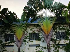 -三亚南山文化旅游区