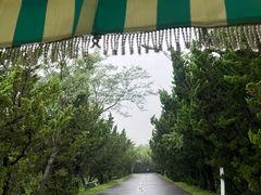 -日照海滨国家森林公园