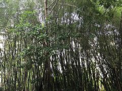 -求水山公园