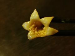 -滇釜火锅·能喝汤的火锅(车公庄店)