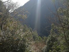 -苍山感通索道
