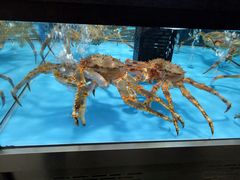 -麦德龙(郑东店)