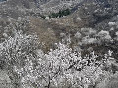 -蟠龙山长城景区