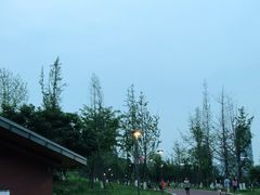 -桂溪生态公园