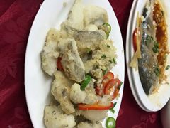 -蛇口康乐快餐鱼仔档(翠苑小区店)