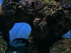 -大连老虎滩海洋公园