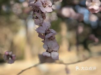 因为疫情,步行范围的中山公园也是好久不见