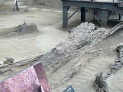 -金沙遗址博物馆