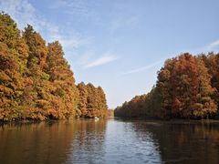 -上海海湾国家森林公园