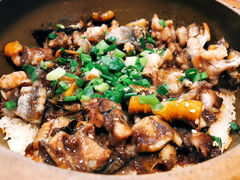 鳝鱼拼田鸡-红星光发煲仔饭(文海店)