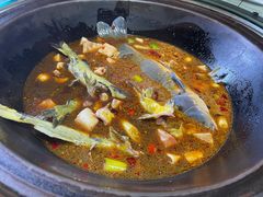 -大鹅岛灶台鱼·铁锅炖(水库路店)