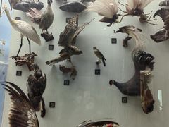 -国家自然博物馆