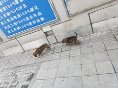 -李叔同故居纪念馆