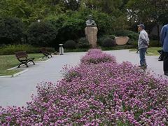 -徐家汇源景区-衡山公园